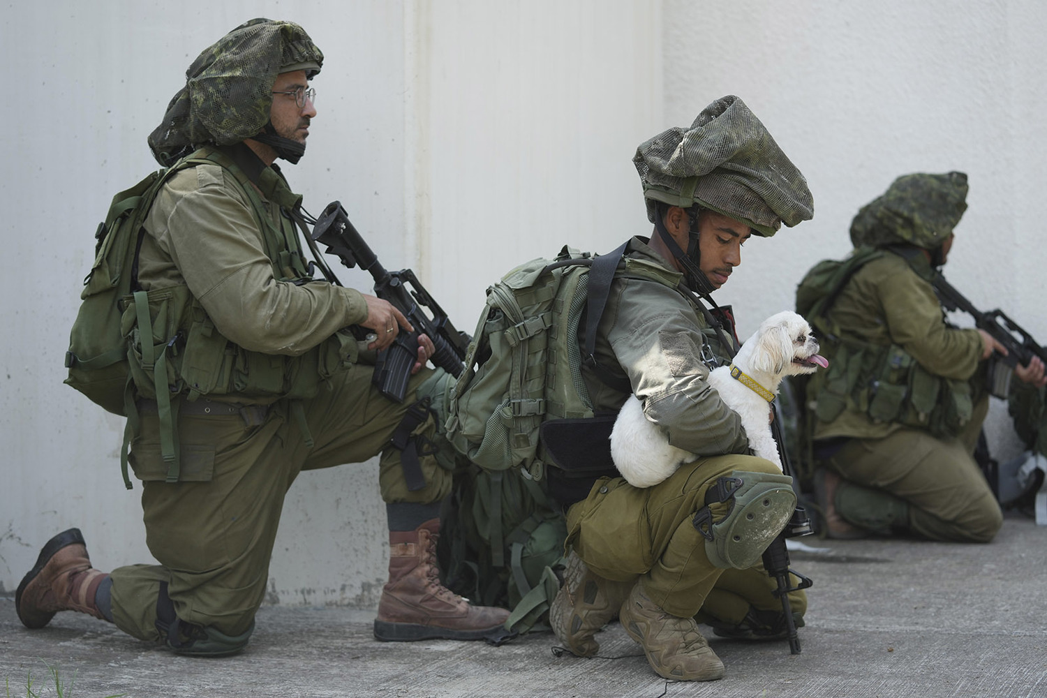 Израильский солдат с собачкой погибших, горе в Газе: кадры войны рвут сердце 