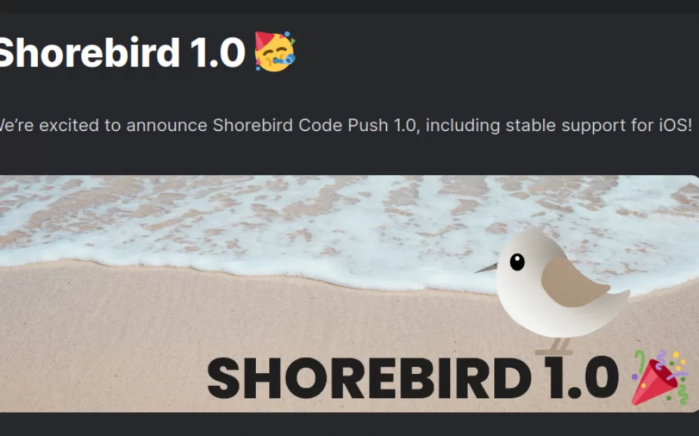 Релиз Shorebird 1.0