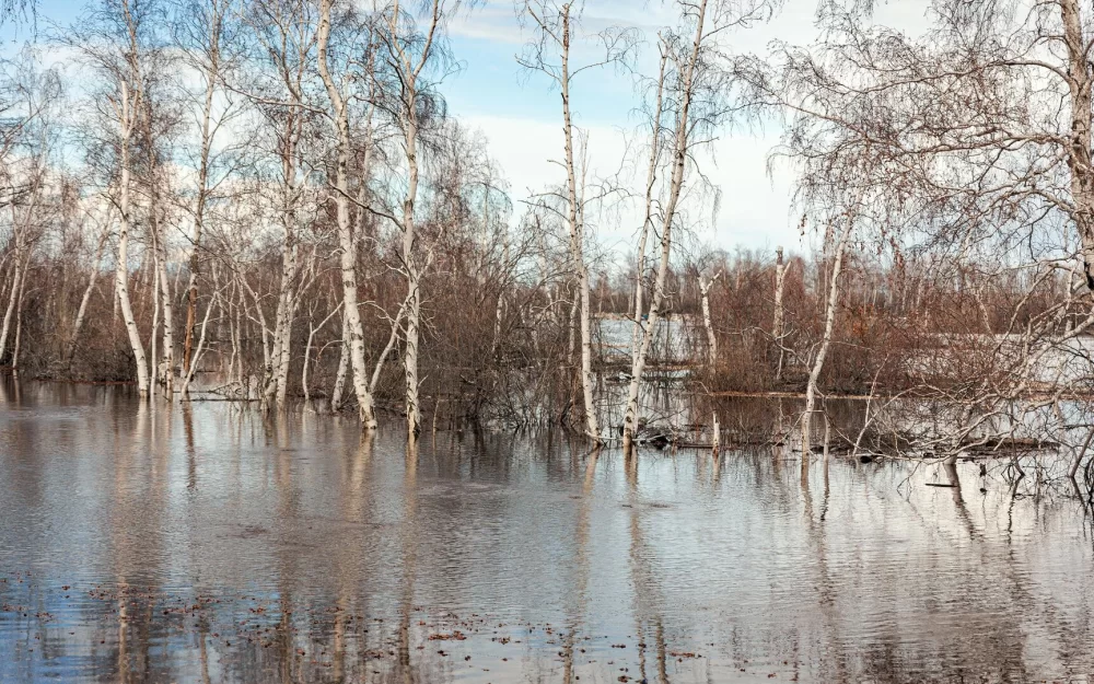 Поток талых вод хлынул по улице удмуртского села