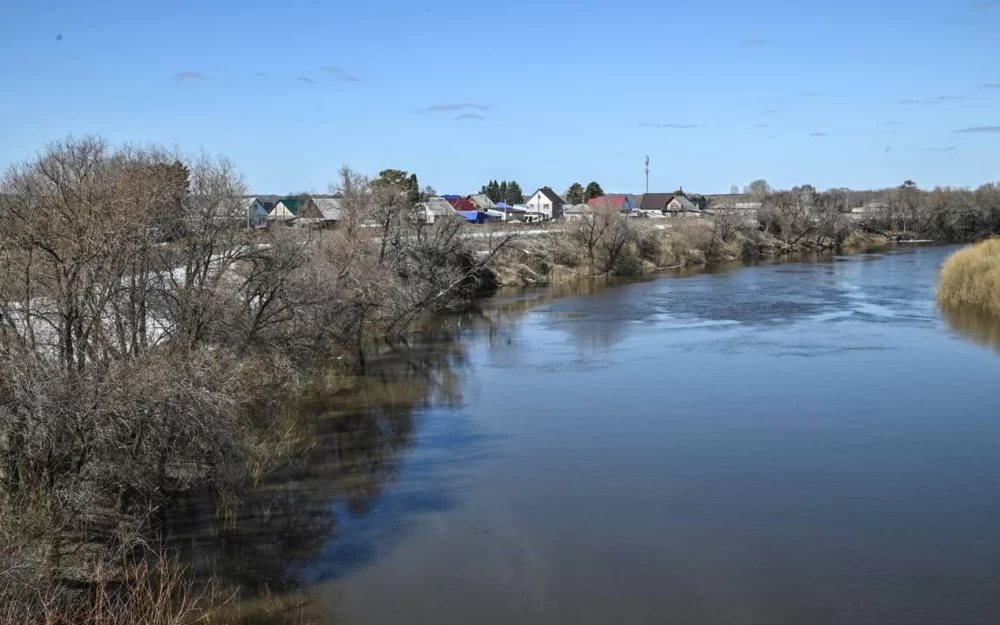 Уровень воды в реке Ишим в тюменском селе Викулово за день повысился