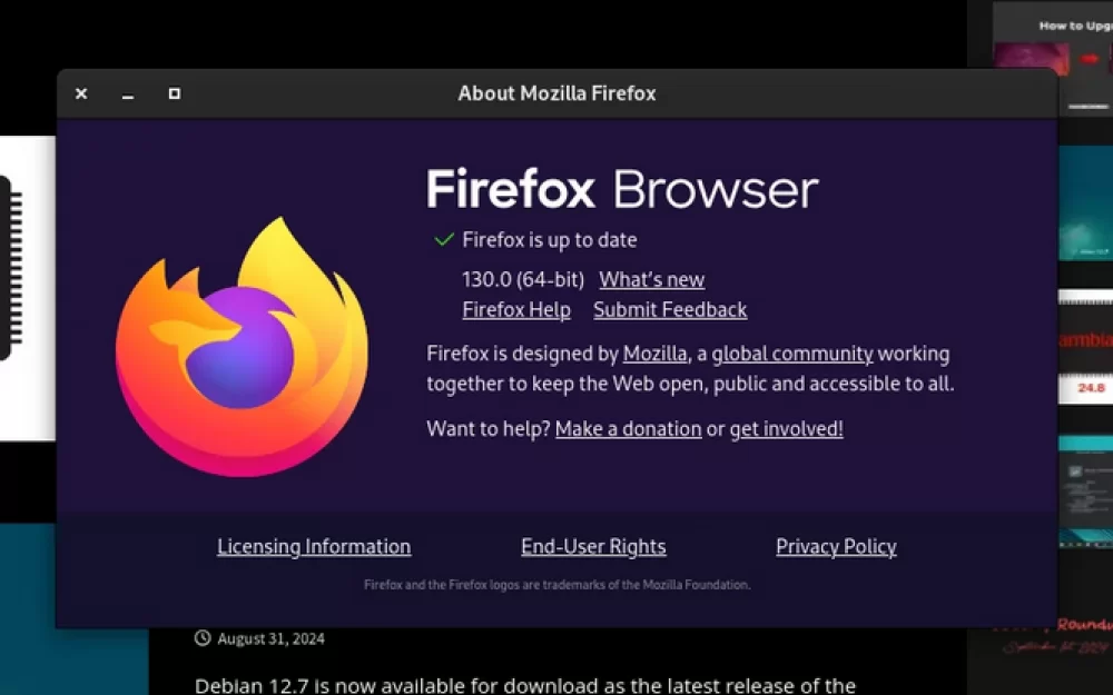 Вышел Firefox 130.0
