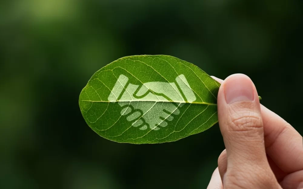 Власти индийской Махараштры одобрили строительство сети зеленых технопарков для ЦОДов