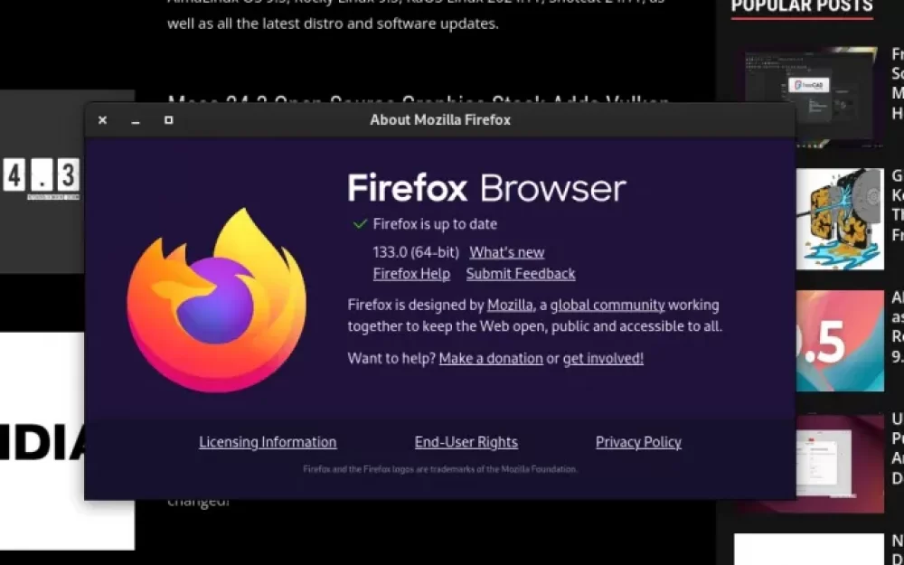 Вышел Firefox 133.0