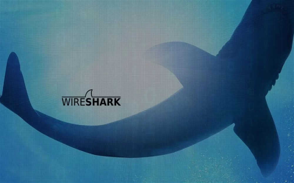 Релиз Wireshark 4.4.3