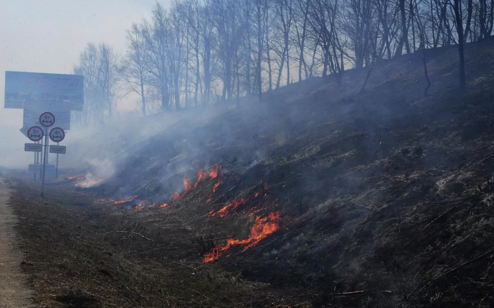 В Приморье за сутки зафиксировали 17 природных пожаров