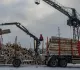 Южная Корея нарастила импорт российской древесины до максимума