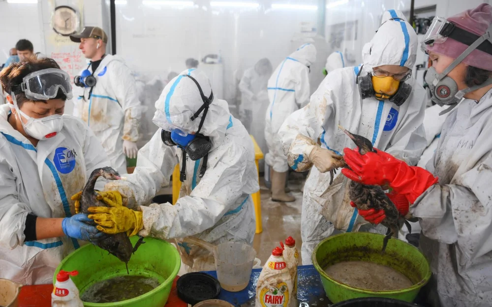 В Госдуму внесли проект о поощрении волонтеров ЧС в Керченском проливе