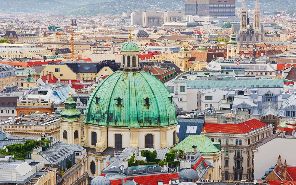 В МИД назвали единственный источник угрозы для Австрии