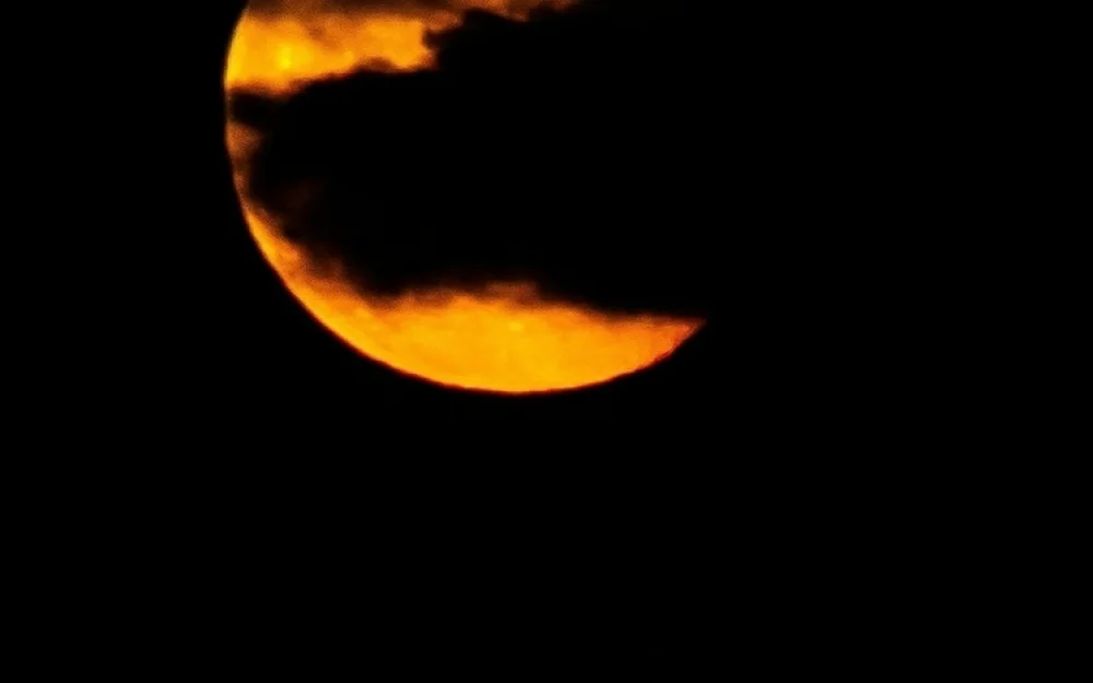 Гороскоп на 29 октября 2025 года