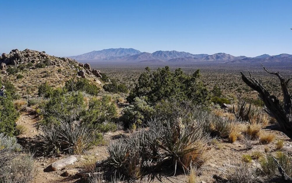 Следователи поставлены в тупик из-за найденных в пустыне сотен куч человеческого праха