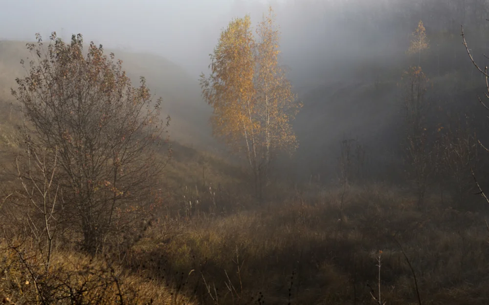 Что можно, а что нельзя делать 29 октября в День Лонгина Сотника