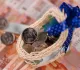 Стало известно какая зарплата нужна для максимального пособия по беременности