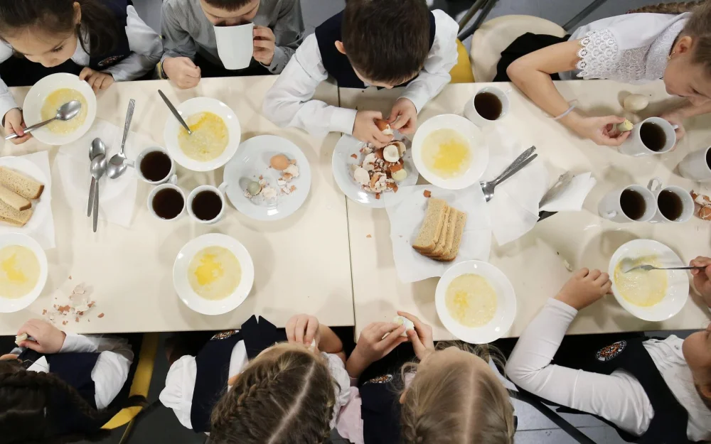 Детей из многодетных семей бесплатно накормят в школах и училищах Мордовии