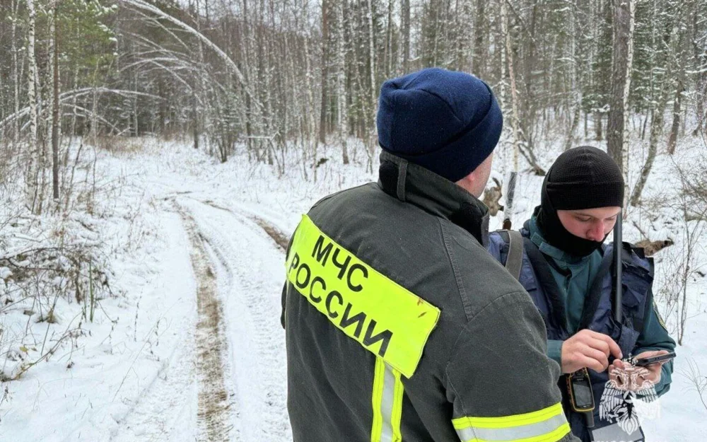Появились подробности о поисках семьи, пропавшей в Красноярском крае