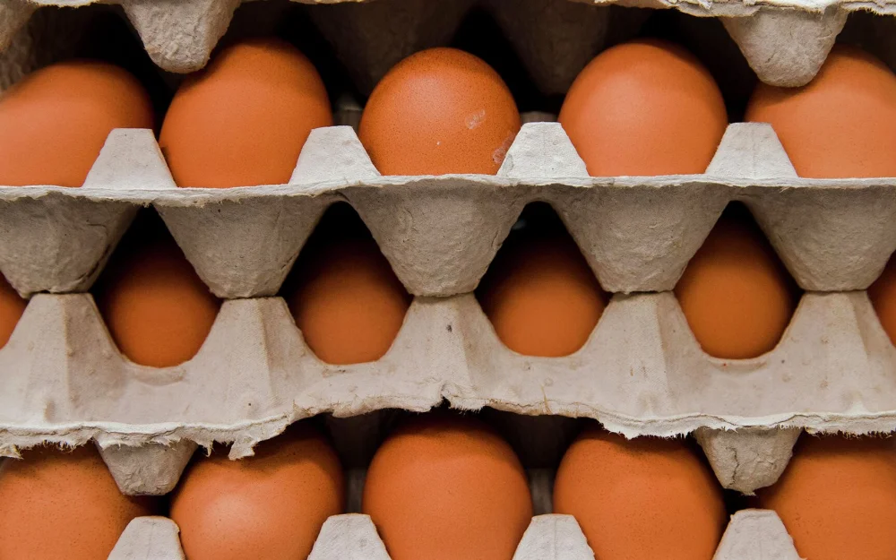 Нутрициолог назвала самые полезные способы приготовления яиц