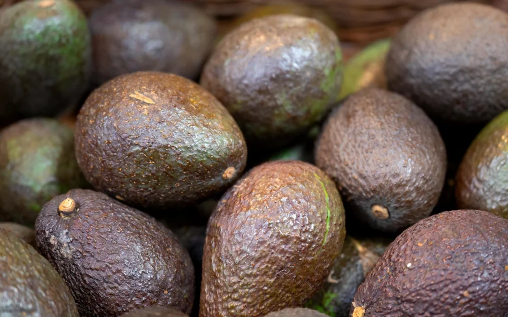 В России появится первое органическое авокадо из Эквадора