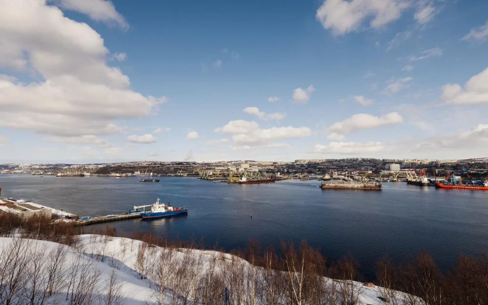 Комиссия Госсовета по Арктике отрабатывает поручения президента РФ