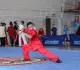 Кубок Приморского края по ушу разыграли в Уссурийске