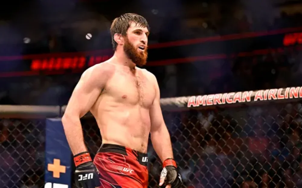 Магомед Анкалаев уступил титул чемпиона UFC бразильцу Алексу Перейре