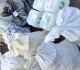 Полиция Приамурья изъяла 125 кг марихуаны, заведено уголовное дело