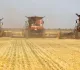 Отгрузку топлива аграриям увеличили для поддержки окончания уборочной кампании