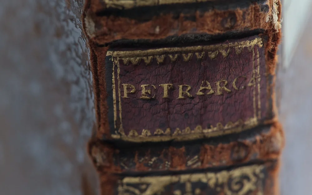 Поэтический взлом чат-ботов, налоговые прозрения и гонка ИИ-титанов