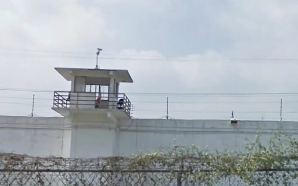 Женщине дали 20 лет тюрьмы за убийство двух братьев-серферов и молодого туриста