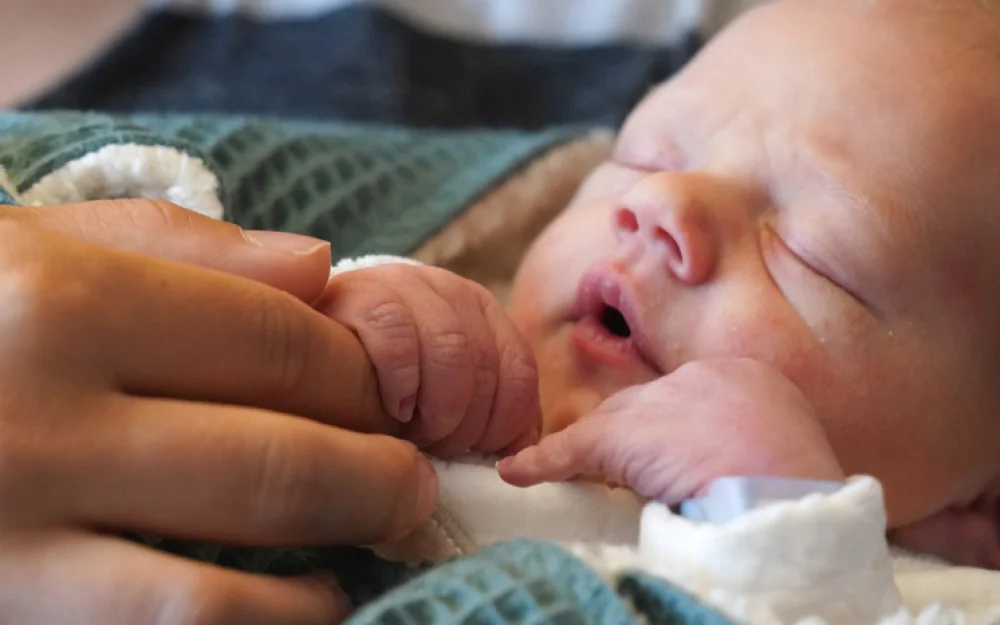 Беременность зависит от положения елки: россияне дарят бездетным сертификаты на роды