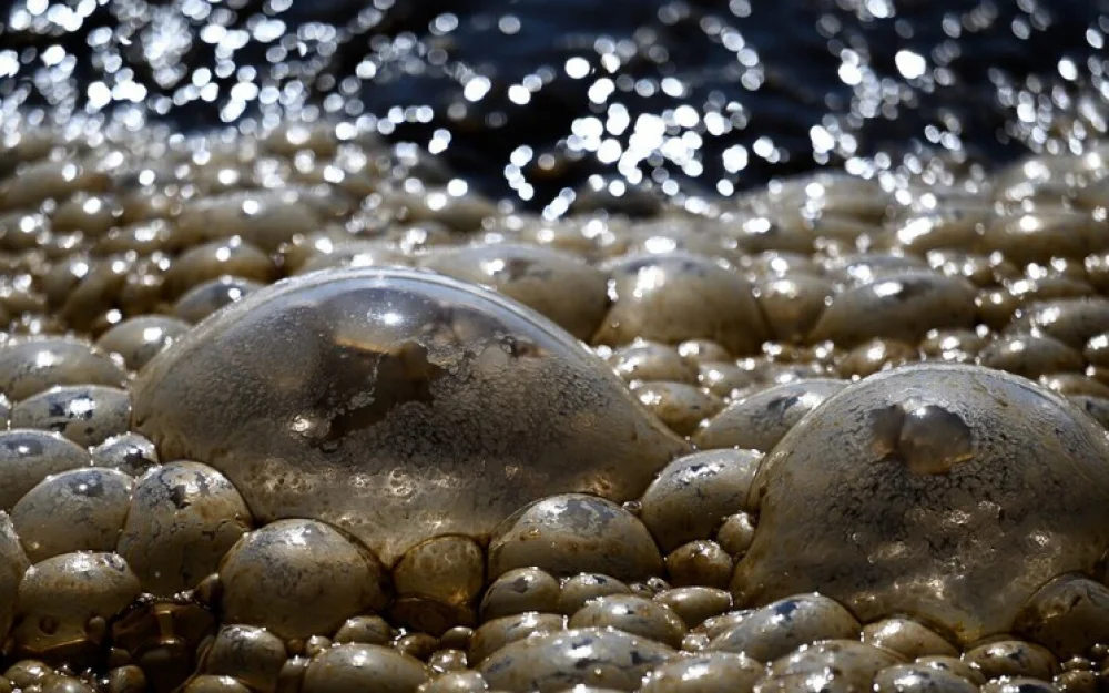 Не исключена диверсия: в США предположили причину утечки аммиака в Миссисипи