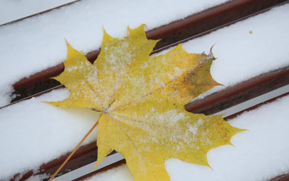 Первый московский снег растает еще в воздухе — прогноз синоптиков