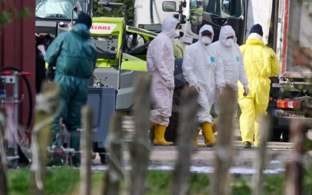 Зарегистрирован первый в истории случай смерти человека от редкого штамма