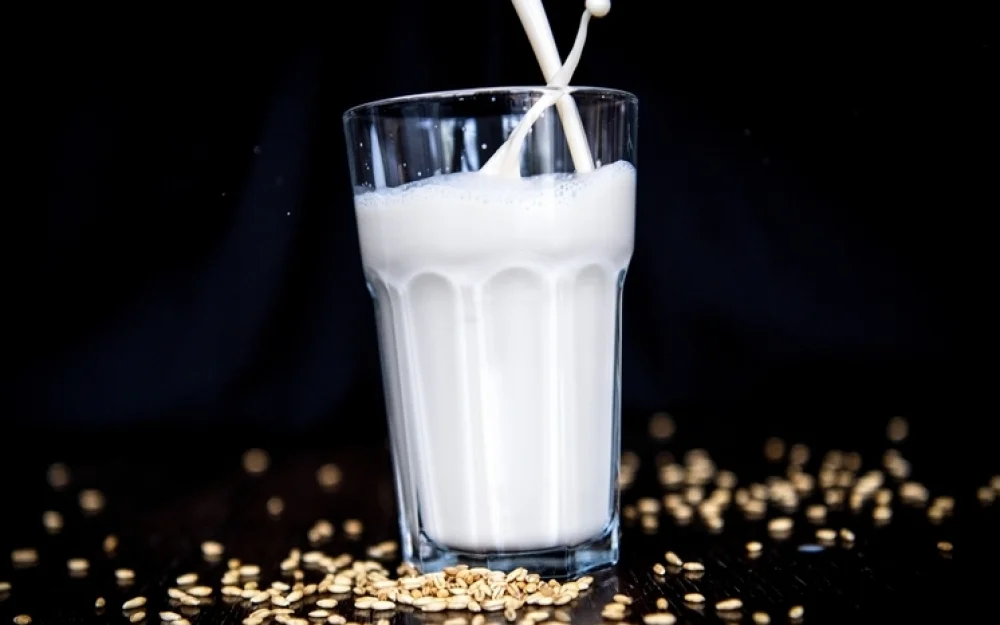 Уральские химики усовершенствовали овсяное молоко с помощью виноградного жмыха