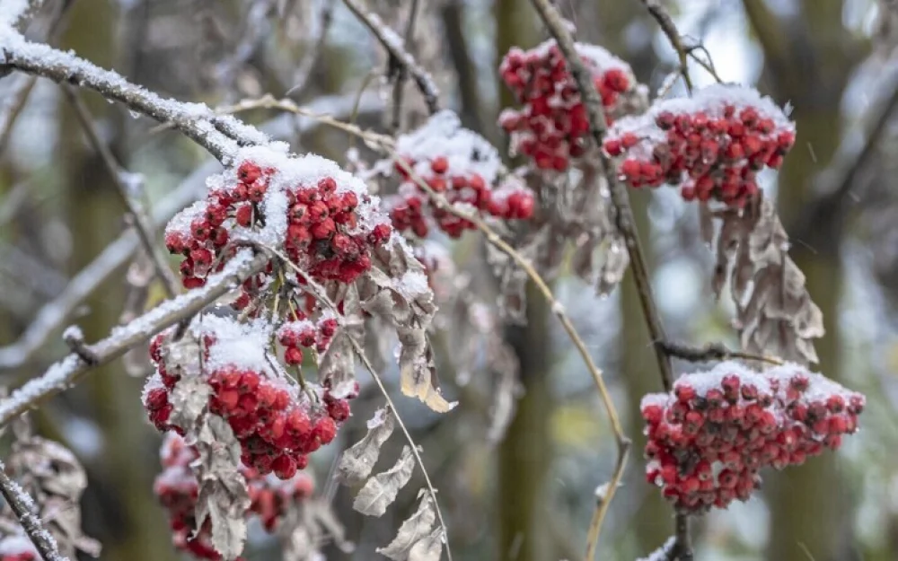 Что можно, а что нельзя делать 18 ноября в День Галактиона