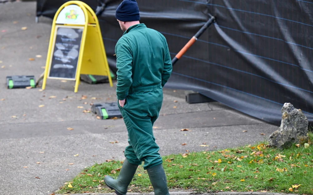 Меня уволят десять раз, и я стану миллионером»: русскоязычный немец рассказал о кризисе на рынке труда Германии