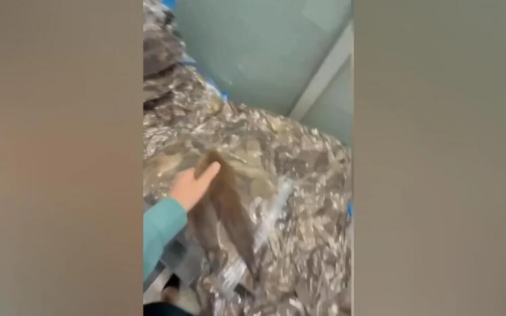 Загадочный груз в «Домодедово»: изъято 7000 хвостов куницы