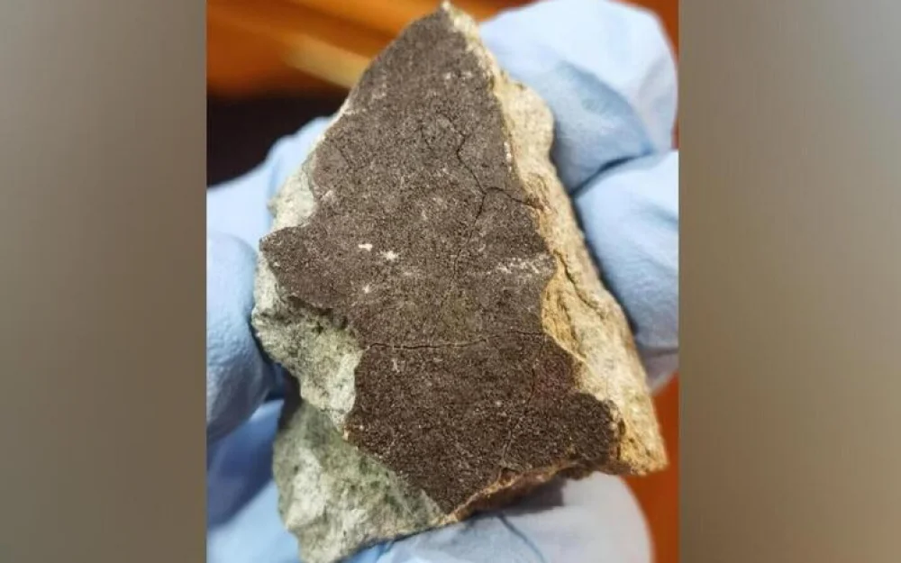 Похож на застывший цемент: поисковики ГЕОХИ РАН рассказали, как нашли  метеорит, упавший 27 октября