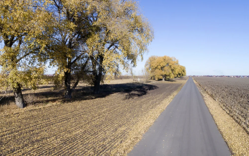 Что можно и что нельзя делать 5 ноября в Яков день