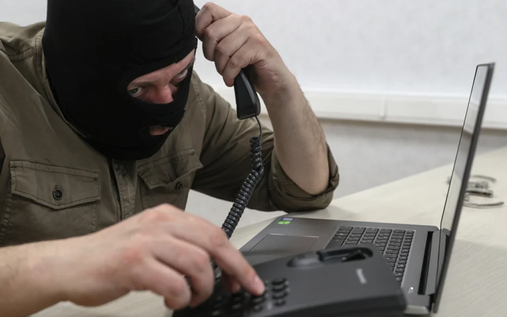 Названы самые распространенные мошеннические схемы в онлайн-продажах перед Новым годом