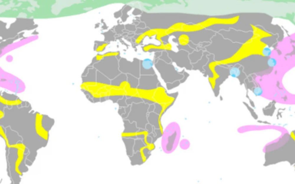 Озвучен шанс спасти планету от климатической катастрофы