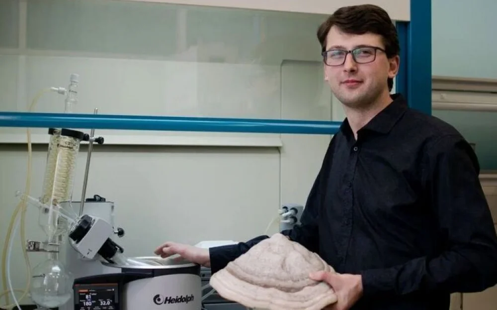 Экстракт из древесных грибов стимулирует рост пшеницы, выяснили ученые