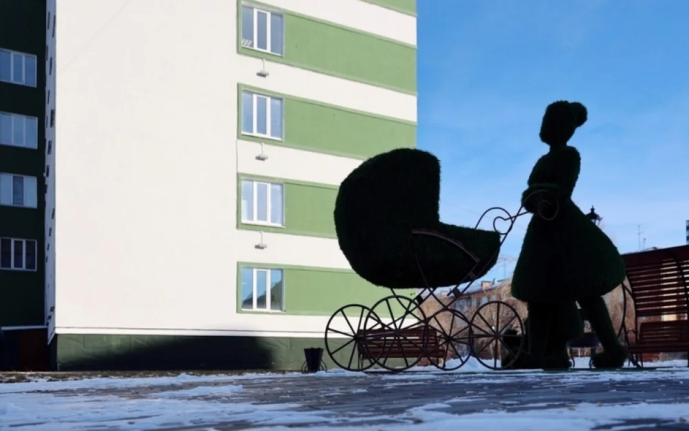 Россиянки развернули группу взаимопомощи для тех, кого некому встретить из роддома