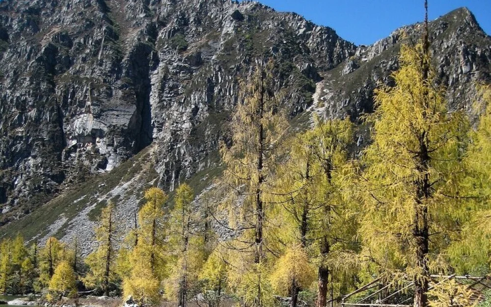 Названы подробности обрушения нового моста в Китае