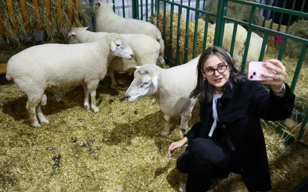 Что можно, а что нельзя делать 11 ноября на Анастасию Овечницу