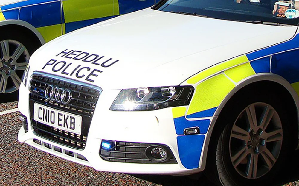 Подростку предъявлено обвинение в убийстве после смерти 17-летней девушки