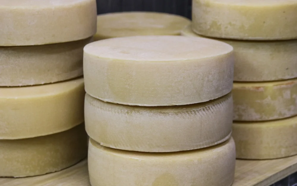 Назван способный защитить мозг от деменции популярный молочный продукт