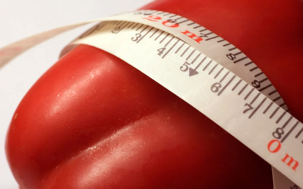 Ученые раскрыли шокирующую правду о диетах и потере веса: «нас так запрограммировали»