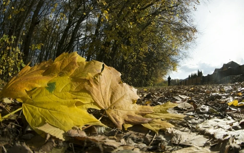 Что можно и что нельзя делать 9 ноября: главные запреты Обетного дня