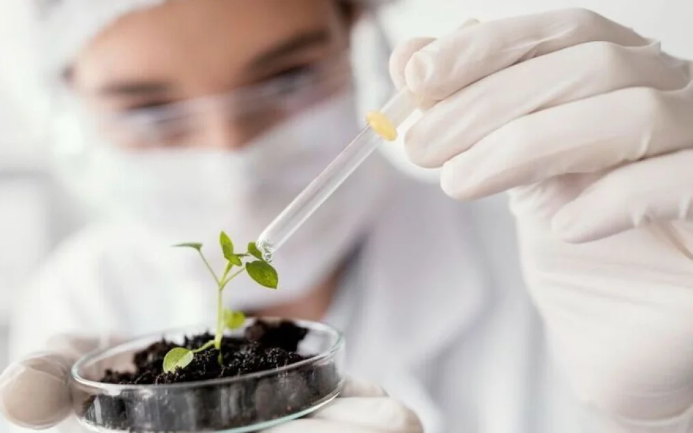 «Логика молока» выступила партнером Всероссийской олимпиады по агрогенетике