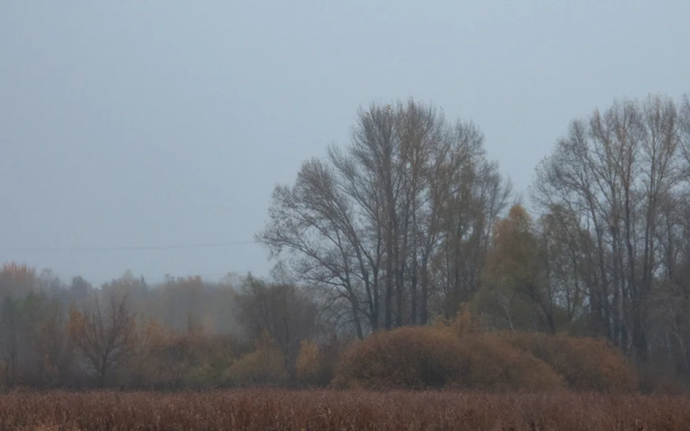 Что можно, а что нельзя делать 14 ноября на Кузьминки осенние