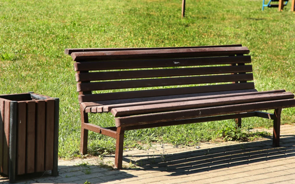 Городское озеленение назвали лекарством для миллионов